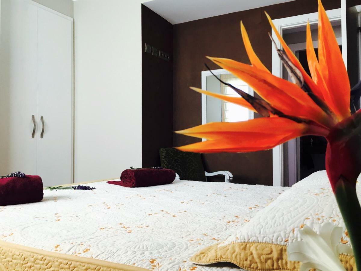Lo Raconet Apartment Deltebre Luaran gambar